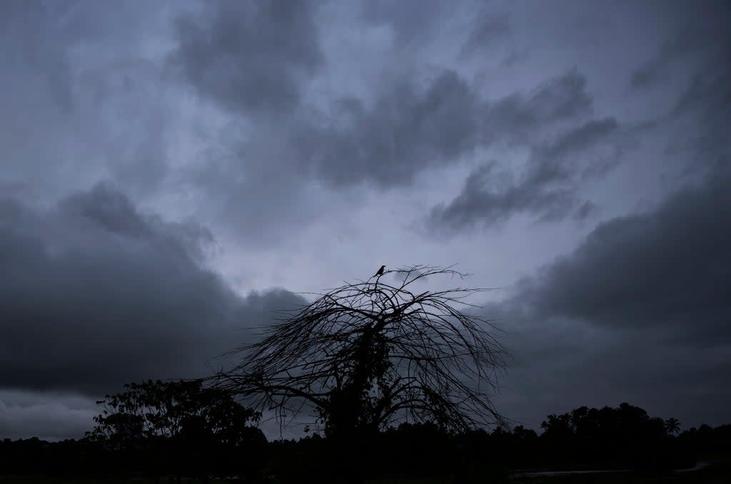 India Rain (Copyright 2021 The Associated Press. All rights reserved.)