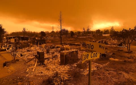 Homes leveled by the Carr Fire line the Lake Keswick Estates area of Redding - Credit: Noah Berger/AP