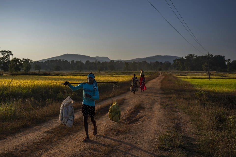 Tribals walk back to their villages after visiting a weekly market, where hundreds gather from far-flung villages to buy basics, in Orchha in central India's Chhattisgarh state, Nov. 16, 2022. Motorbike ambulances are helping pregnant women and very sick patients to reach hospitals in Naryanpur district, in central India's Chhattisgarh state. Many of the heavily forested district's villages are nearly inaccessible, often miles away from motorable roads and connected only by rough paths spanning over streams and hills. The state's health system has struggled to reach remote villages that can be ten miles or more from roads. The lack of roads often forces villagers to resort to makeshift palanquins to transport the very sick. (AP Photo/Altaf Qadri)