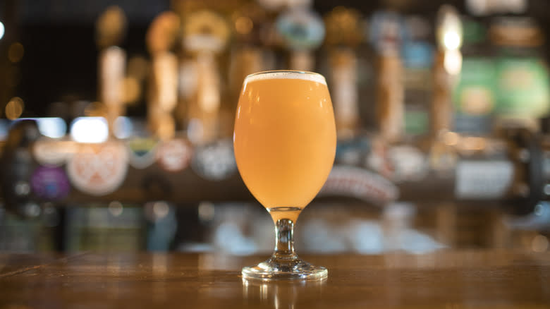 IPA in a glass on bar