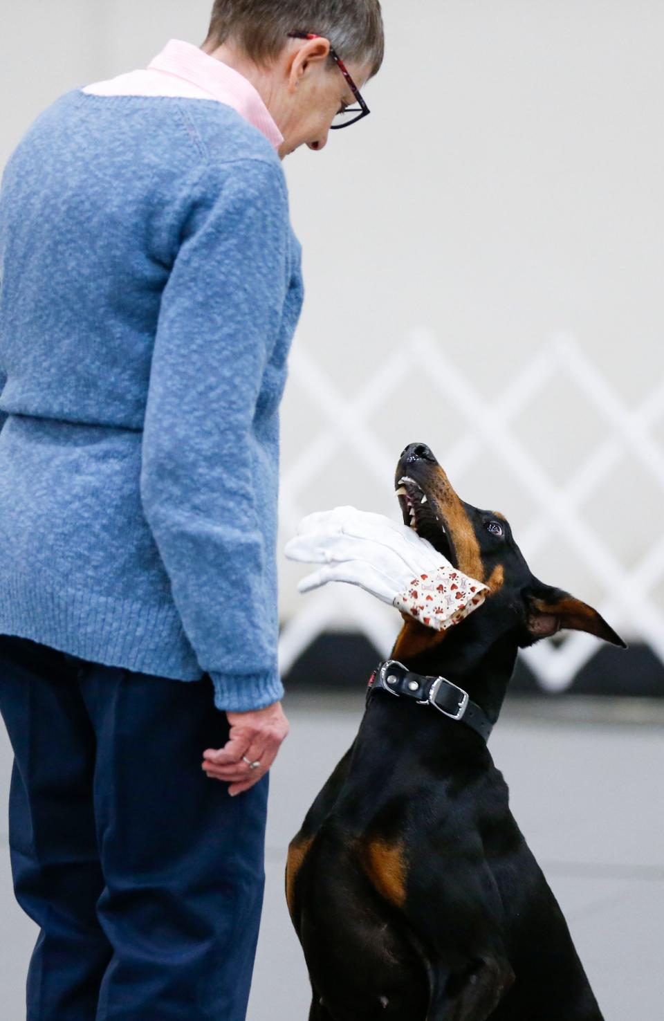 Mary Dellorto, from Chicago, competes with her dog Jovie, 6, during the 96th annual Doberman Pinscher Club of America National Show and Convention at the Expo Center on Tuesday, Sept. 26, 2023.
