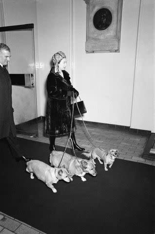 <p>Spooner/Mirrorpix/Getty</p> Queen Elizabeth and her corgis take the train to Sandringham in 1972