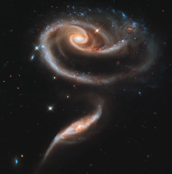 10. Asombrosa fotografía de una rosa galáctica difundida por el Space Telescope Science Institute en Baltimore (Maryland). Estas son dos galaxias especialmente fotogénicas denominadas Arp 273 que interactúan entre sí formando coloridas imágenes. La más grande, que tiene forma de espiral y es conocida como UGC 1810, tiene un disco que se distorsiona en forma de rosa, por la atracción del puente de marea gravitatoria de su compañera, conocida como UGC 1813.