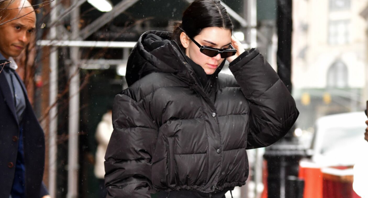 Celebrities Wearing Winter Coats, Puffer Jackets: Pics