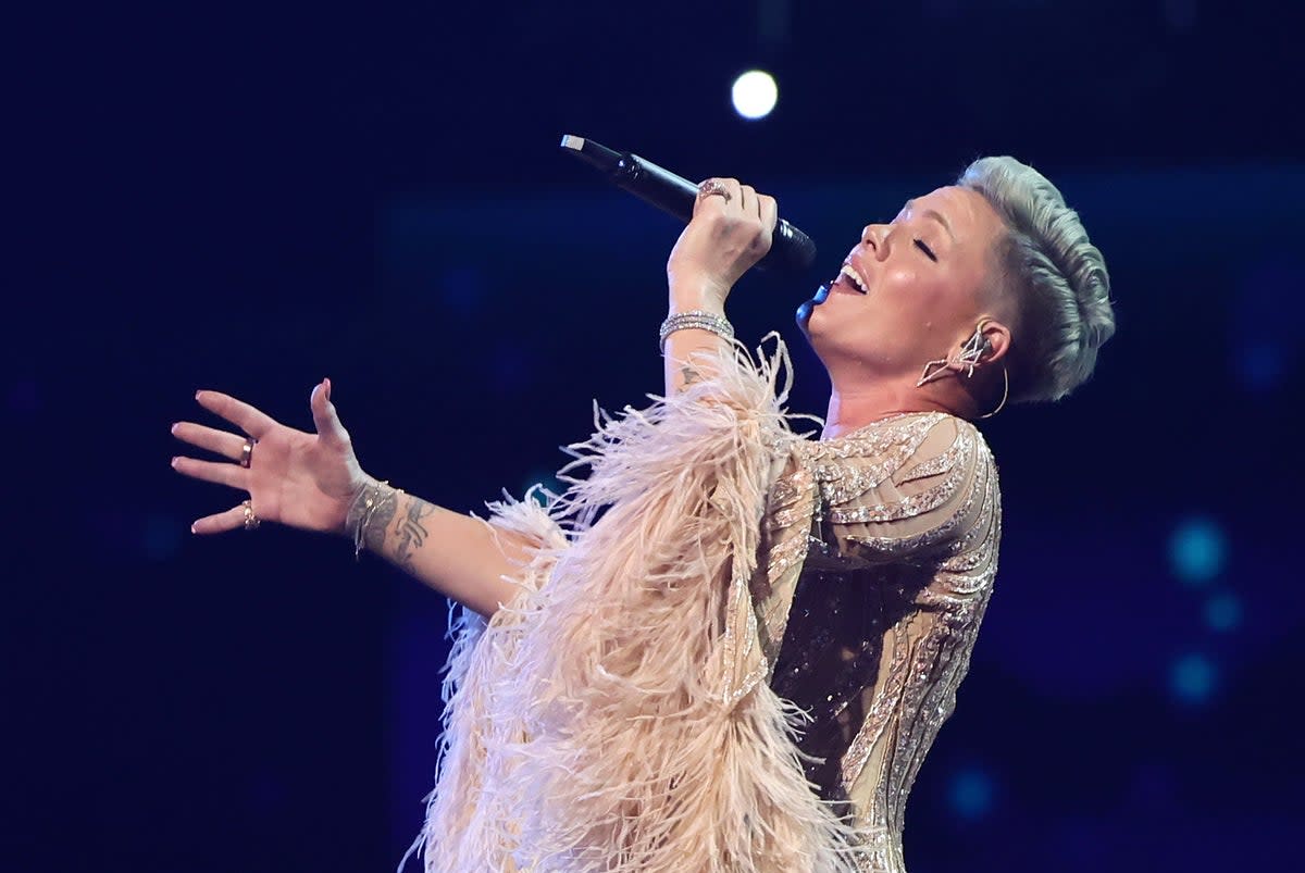P!nk is colourblind to double negatives, it would seem  (Getty Images for dcp)