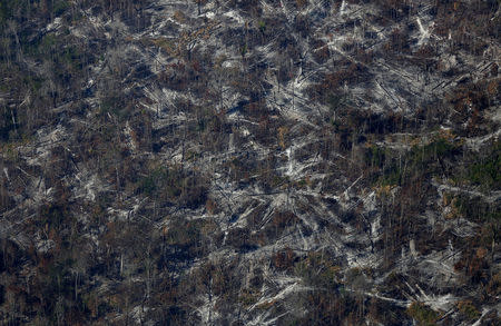 An aerial view shows deforested land during "Operation Green Wave" conducted by agents of the Brazilian Institute for the Environment and Renewable Natural Resources, or Ibama, to combat illegal logging in Apui, in the southern region of the state of Amazonas, Brazil, August 4, 2017. REUTERS/Bruno Kelly