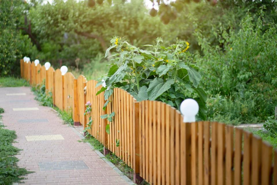 chain link vs wood fence cost