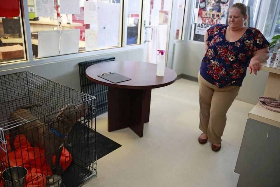 Division Chief Jen Walter looks at Jonas, who is housed in her office at Jacksonville Animal Care and Protective Services because the facility is overcapacity.