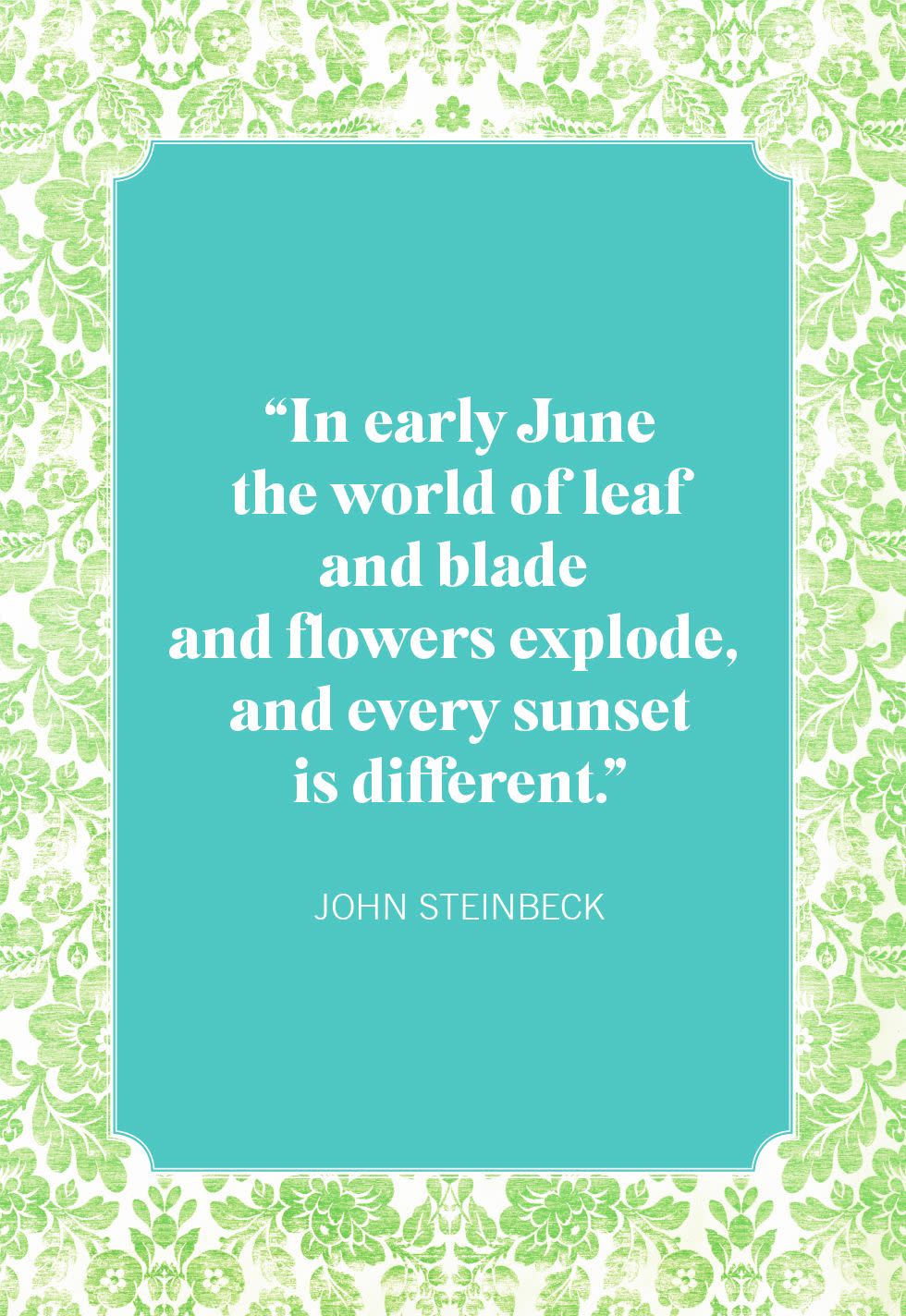 summer quotes john steinbeck