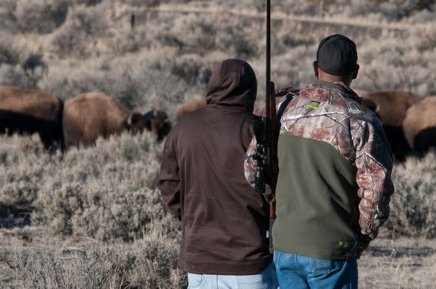 Members of the Shoshone-Bannock tribe from Fort Hall, Idaho, prepare to harvest bison that have just crossed the border of Yellowstone National Park into the Custer-Gallatin National Forest in Montana's Gardiner Basin.