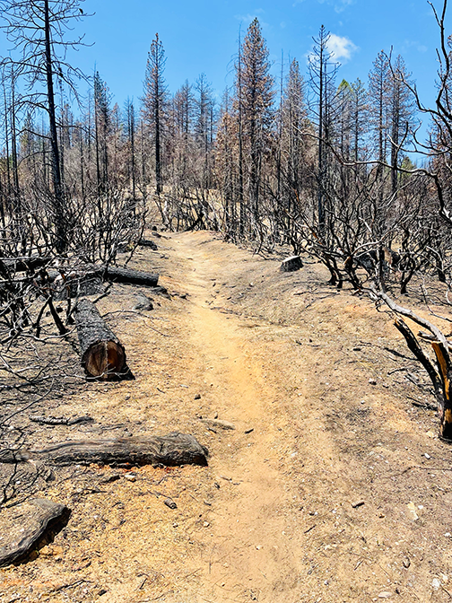 Western states course fire snow