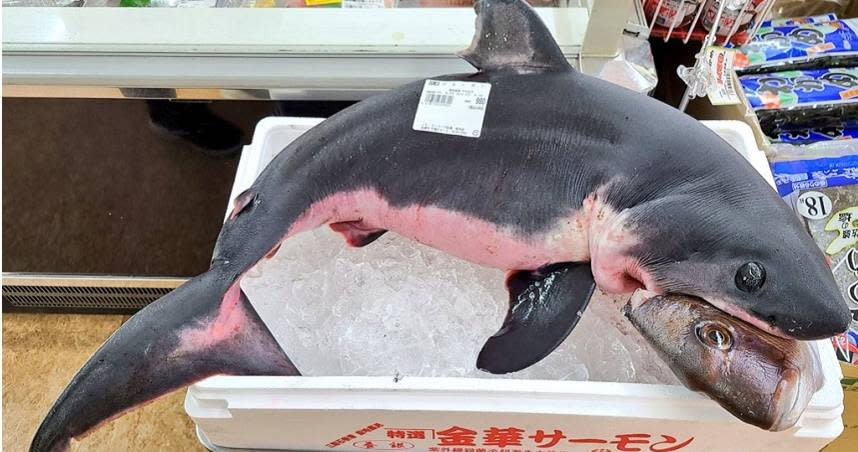 超市賣鯊魚。（圖／翻攝＠alveare_推特）
