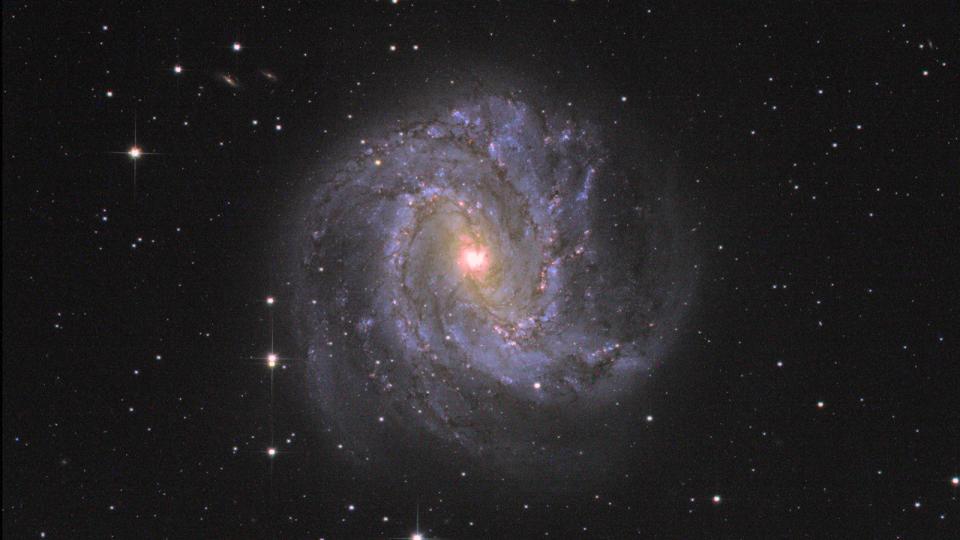 A spiral galaxy agaisnt a black background