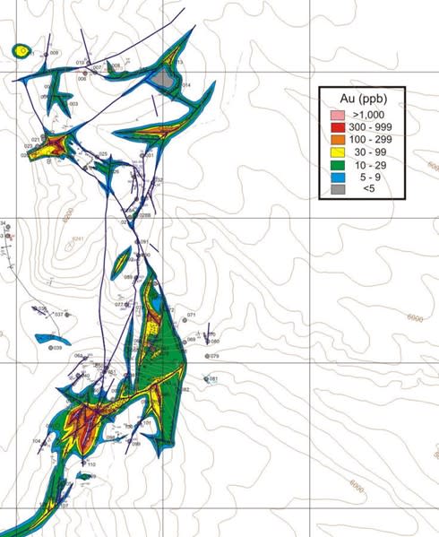 Figure 3. Gold rock chip geochemistry, Stag's Leap Target, Gold Jackpot Area