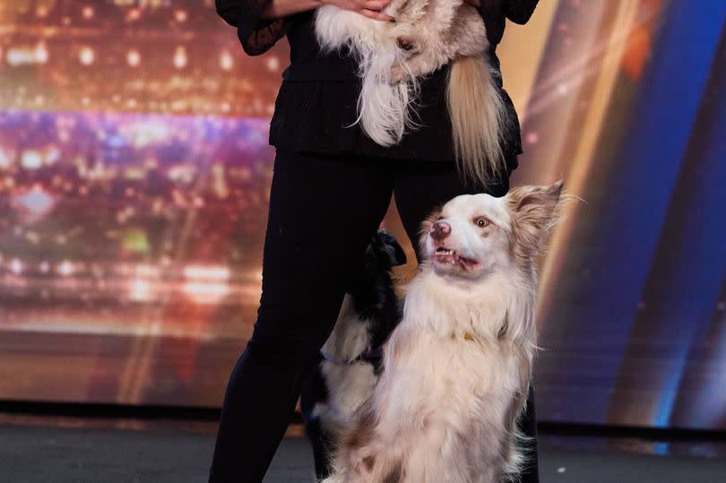 A performer takes to the BGT stage