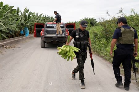 Vigilantes are seen during a patrol at banana plantations in the municipality of Coahuayana