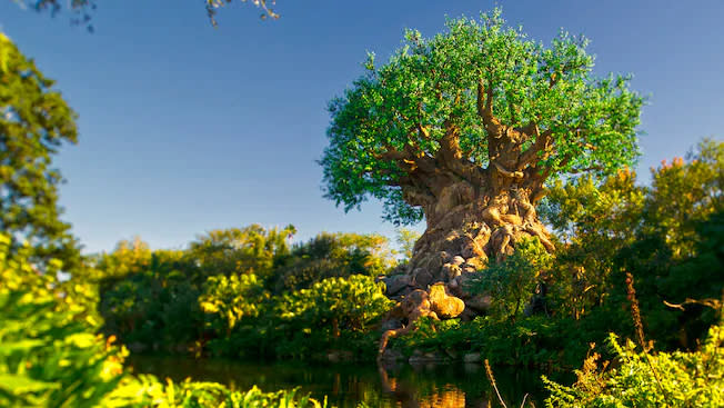 The Tree of Life at Disney's Animal Kingdom. (Photo: Disney+)