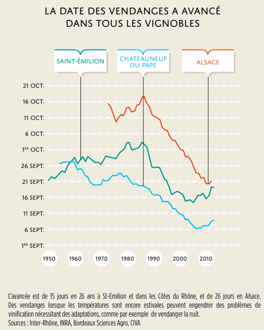 La date des vendanges a avancé dans tous les vignobles (Institut national de la recherche agronomique)