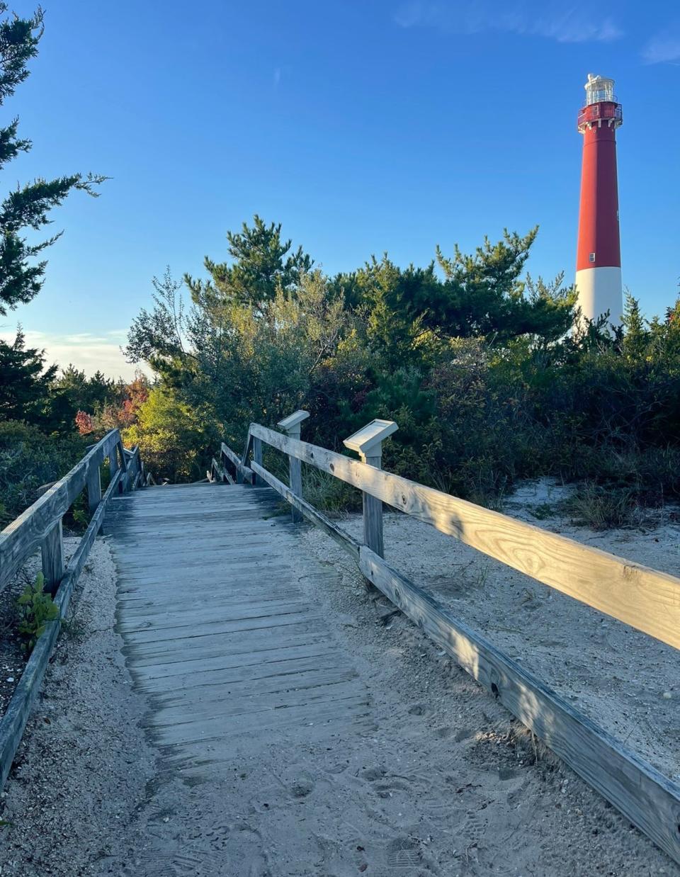 The Maritime Forest Trail at Barnegat Lighthouse State Park.