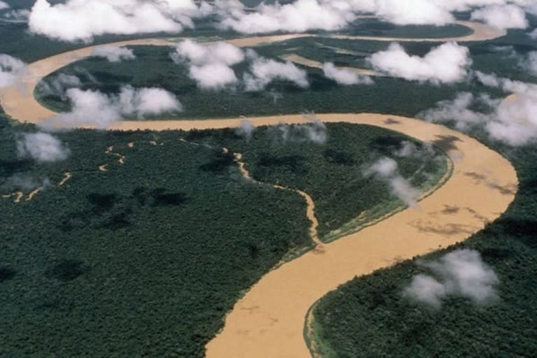 Científicos del Instituto Arqueológico alemán de Bonn hallaron un yacimiento arqueológico inmenso debajo de la densidad de la selva