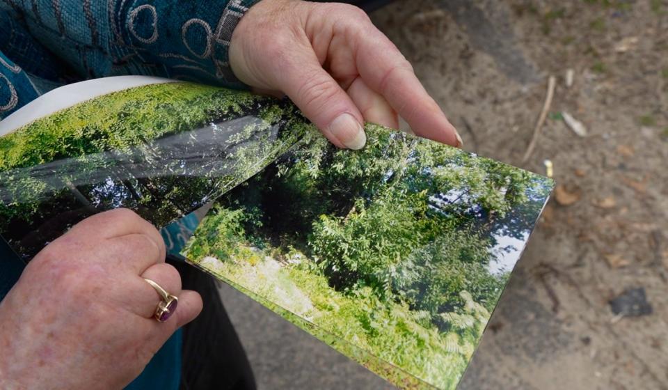 Pegee Malcolm shows photos of overgrowth that once blocked access to a Warwick historical cemetery.