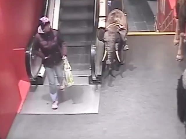 CCTV image showing Karen Brown at Hamleys in London