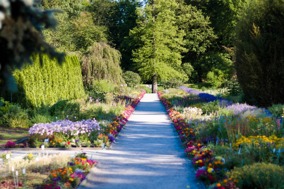 walkway in a garden