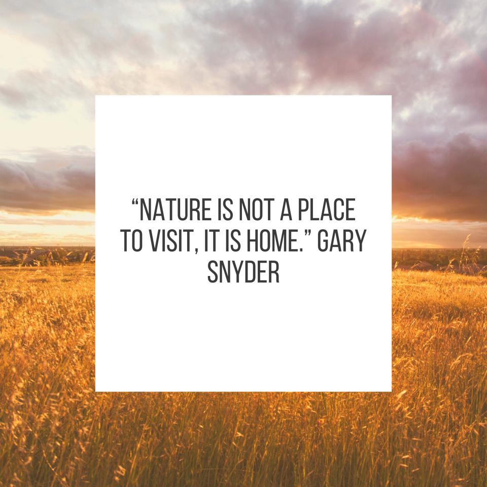 “Nature is not a place to visit, it is home.” Gary Snyder