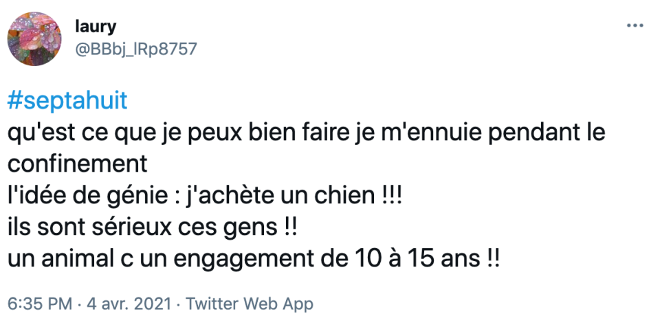 Un reportage sur les ventes de chiots pendant le confinement scandalise la Toile 