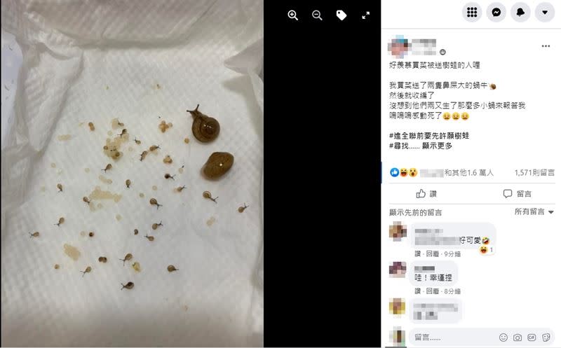 暖心又可愛的貼文曝光後，立刻吸引1.6萬人按讚。（圖／翻攝自爆廢公社二館）