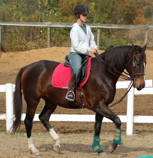 Roulette is an 11 year old, 16.2 hand Thoroughbred mare that came to Days End Farm June 2006 in the final stages of starvation.   This big-boned mare is a show-stopper. Due to an old bowed tendon injury, she is only suitable for flat-work under saddle. However, her movement and conformation would make her a great lower-level Dressage prospect for an experienced rider.   This girl has been at DEFHR for way too long. We hope to find her a forever home soon that will bring her to her full potential.