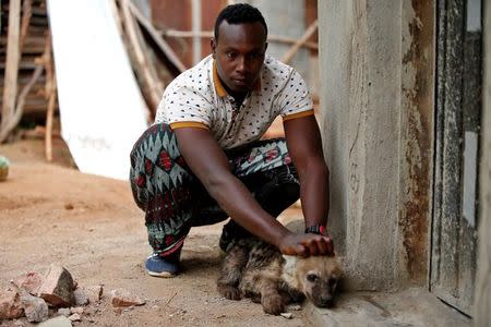 Abbas Yusuf, 23, known as Hyena Man, plays with a hyena cub near his house within the walled city of Harar, Ethiopia, February 25, 2017. REUTERS/Tiksa Negeri