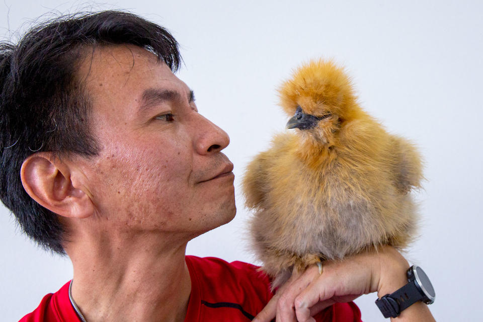 Eric Woo, an ornamental chicken enthusiast