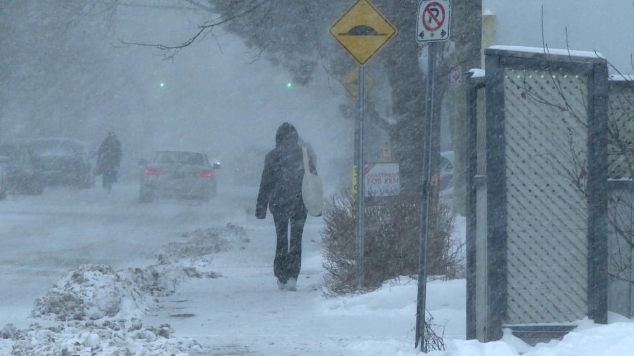 A pedestrian walks down the street as snow begines to fall in Ottawa on Tuesday afternoon. Widespread weather warnings today and tomorrow include snow, freezing rain and some wind and rain. (Stu Mills/CBC - image credit)