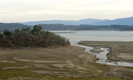 The Russian River's east fork empties into Lake Mendocino, a key Mendocino County reservoir which is below average level, in Ukiah, California February 25, 2014. REUTERS/Noah Berger