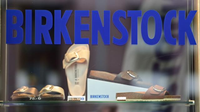 Birkenstock has been bought by a LVMH-backed private equity fund