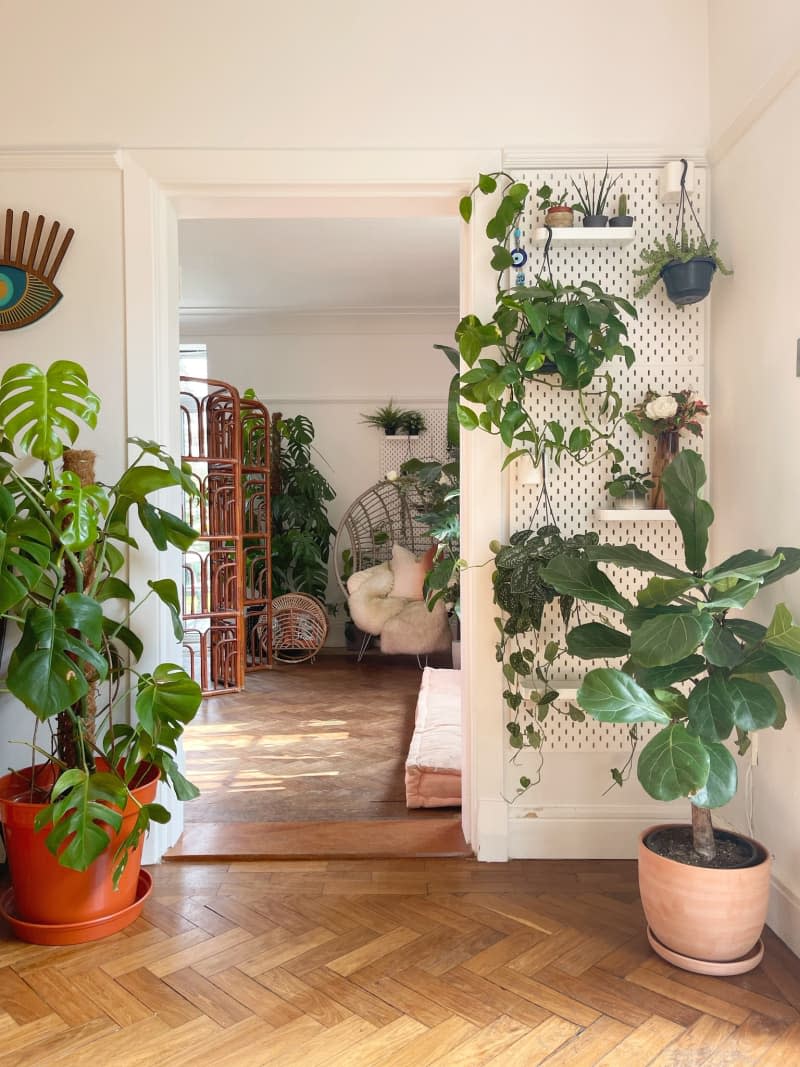 IKEA pegboard plant wall in corner of room