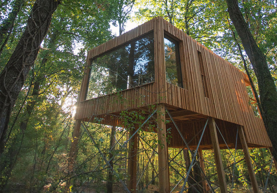A treehouse in the Loire Valley
