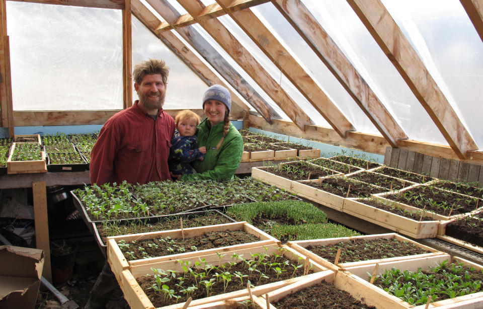 Edge Fuentes, left, stands with his wife Katie Spring, right, and their 9-month-old son Waylon in their planting room surrounded by seedlings for vegetables and flowers at their Good Heart Farmstead, Thursday, April 24, 2014, in Worcester, Vt. Spring and Fuentes back the GMO labeling bill passed by the Vermont Legislature. They believe people need to be able to know what’s in their food. (AP Photo/Wilson Ring)