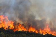 <p>Bataille contre les flammes en Ardèche.</p>