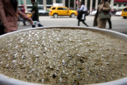 FILE PHOTO:    Bubbles form on the surface of a cup of coffee in a cafe in New York, April 11, 2014.   REUTERS/Carlo Allegri/File Photo