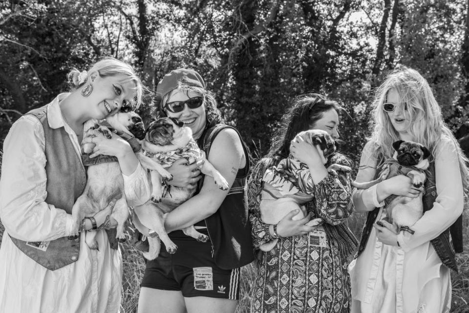 Lime Garden have a cuddle with some pugs (Megan Graye)