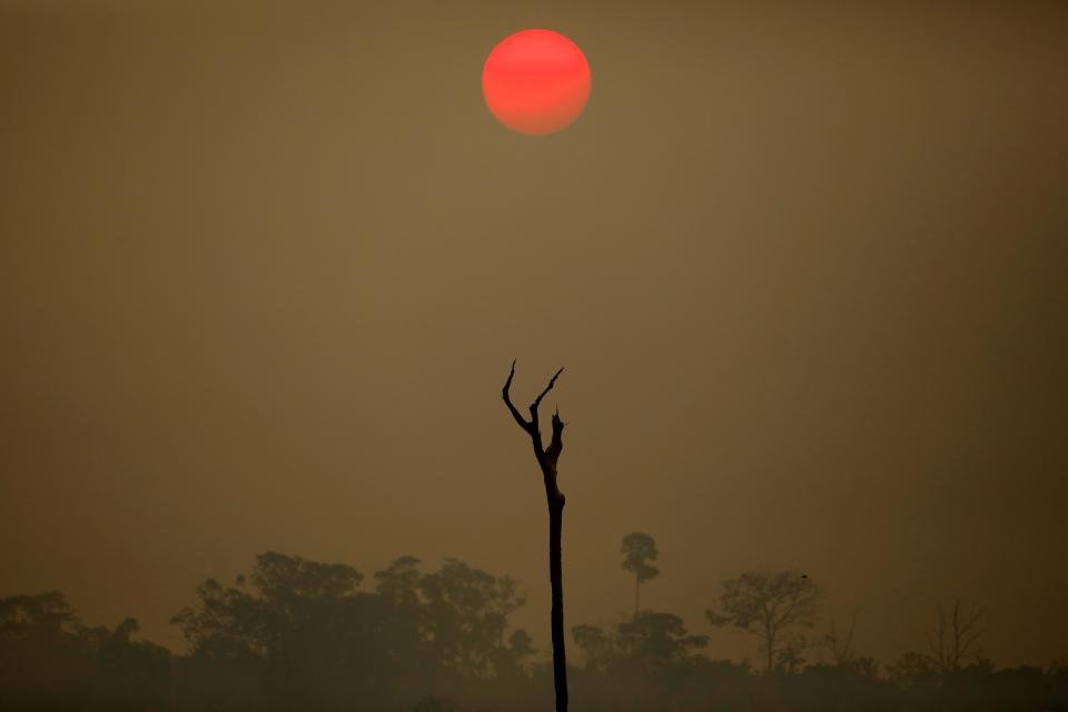 reuters environmental photos of the year 2019