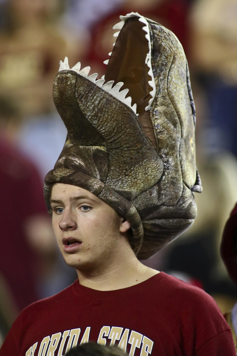 A Florida State fan looks on before an NCAA college football game against Florida, Friday, Nov. 25, 2022, in Tallahassee, Fla. (AP Photo/Phil Sears)