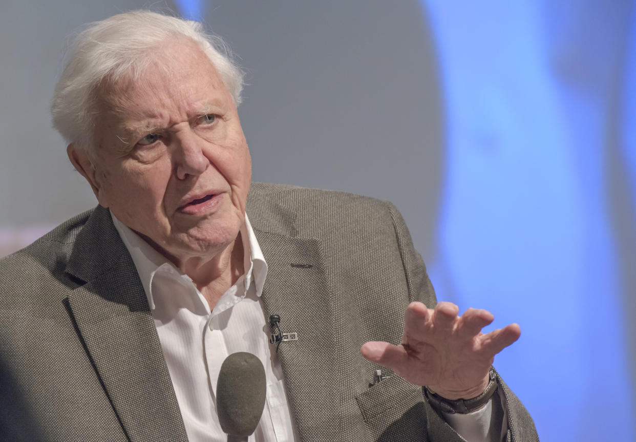 BIRMINGHAM, ENGLAND - JANUARY 25: Sir David Attenborough addresses the UK Climate Assembly on January 25, 2020 in Birmingham, England. The assembly members will give up four weekends between January and March 2020 to discuss questions around how the UK meet the Government’s legally binding target to reduce greenhouse gas emissions to net zero by 2050. (Photo by Richard Stonehouse/Getty Images)