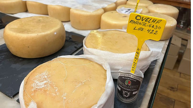 Wheels of traditional sheep cheese from the Serra da Estrela region of Portugal are shown for sale at the Mercado Nacional tavern in Belmonte, Portugal on Sept. 17, 2023.