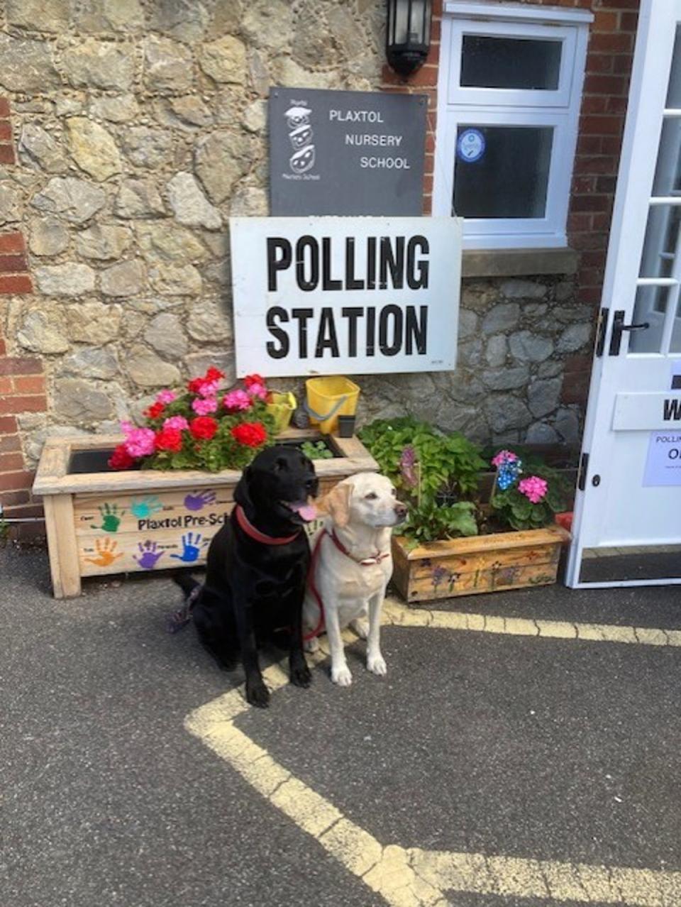 Maisie and Knut are brother and sister but not the same colour (Sue Simpson / Submitted)