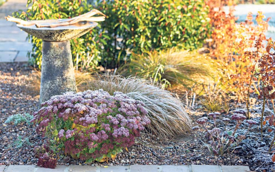 If you don't fancy splashing out on a new bird bath, you can make your own - Gap Gardens 