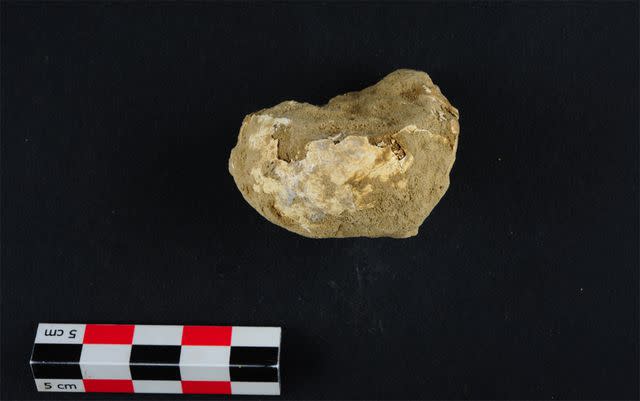 <p>Bavarian State Office for Monument Preservation</p> The calcified remains of an egg found in the medieval grave