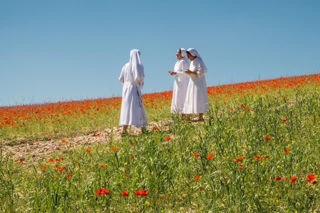 <p>Francesco Lastrucci</p> Outside Castellucio, nuns stroll through lentil fields interspersed with wild poppies.